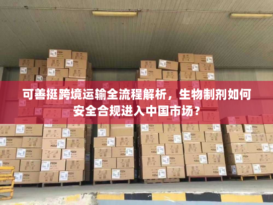可善挺跨境运输全流程解析，生物制剂如何安全合规进入中国市场？