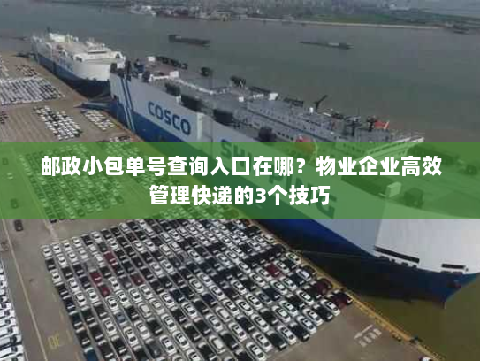 邮政小包单号查询入口在哪？物业企业高效管理快递的3个技巧