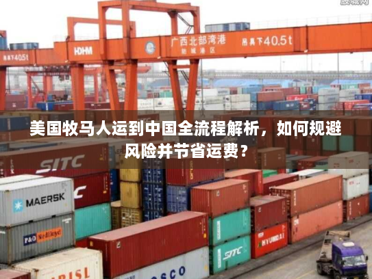 美国牧马人运到中国全流程解析，如何规避风险并节省运费？