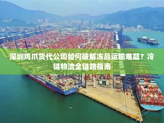 深圳鸡爪货代公司如何破解冻品运输难题？冷链物流全链路指南