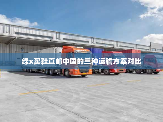 绿x买鞋直邮中国的三种运输方案对比 绿x买鞋直邮中国的三种运输方案对比