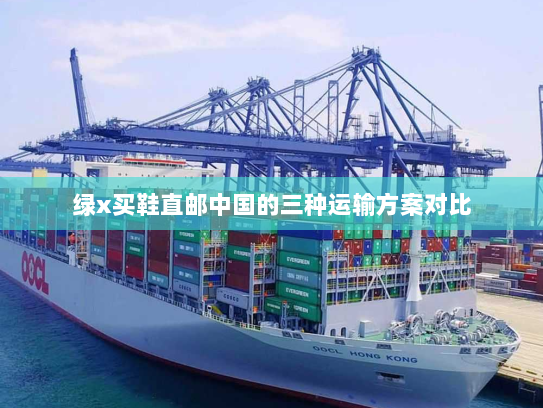 绿x买鞋直邮中国的三种运输方案对比