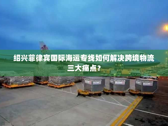 绍兴菲律宾国际海运专线如何解决跨境物流三大痛点？