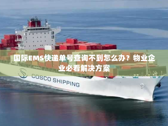 国际EMS快递单号查询不到怎么办？物业企业必看解决方案