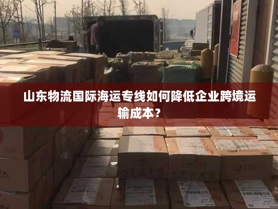 山东物流国际海运专线如何降低企业跨境运输成本? 山东物流国际海运专线如何降低企业跨境运输成本?