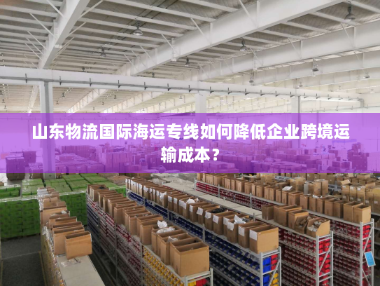 山东物流国际海运专线如何降低企业跨境运输成本? 山东物流国际海运专线如何降低企业跨境运输成本?