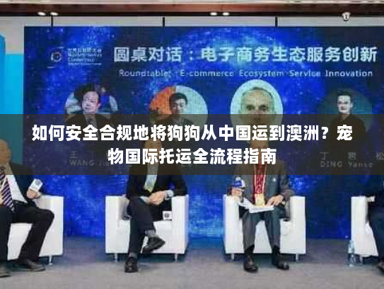 如何安全合规地将狗狗从中国运到澳洲?宠物国际托运全流程指南 如何安全合规地将狗狗从中国运到澳洲?宠物国际托运全流程指南