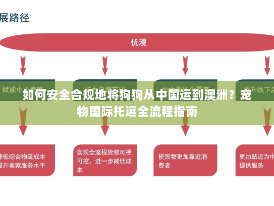 如何安全合规地将狗狗从中国运到澳洲?宠物国际托运全流程指南 如何安全合规地将狗狗从中国运到澳洲?宠物国际托运全流程指南