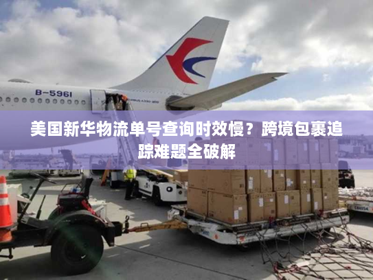 美国新华物流单号查询时效慢？跨境包裹追踪难题全破解