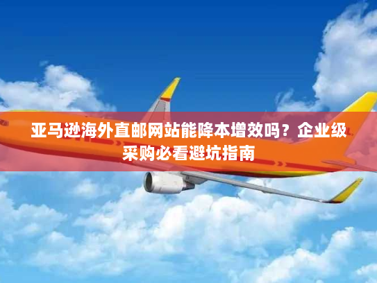 亚马逊海外直邮网站能降本增效吗？企业级采购必看避坑指南