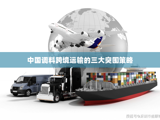 中国调料跨境运输的三大突围策略 中国调料跨境运输的三大突围策略