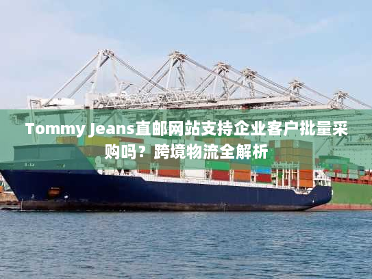 Tommy Jeans直邮网站支持企业客户批量采购吗？跨境物流全解析