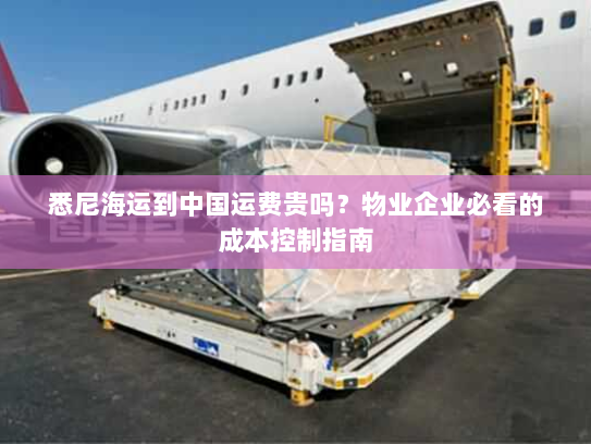 悉尼海运到中国运费贵吗？物业企业必看的成本控制指南