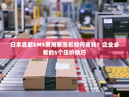 日本直邮EMS费用暴涨后如何省钱？企业必看的5个压价技巧