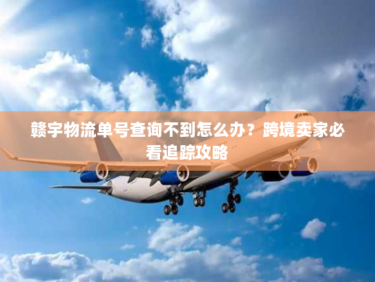 赣宇物流单号查询不到怎么办？跨境卖家必看追踪攻略