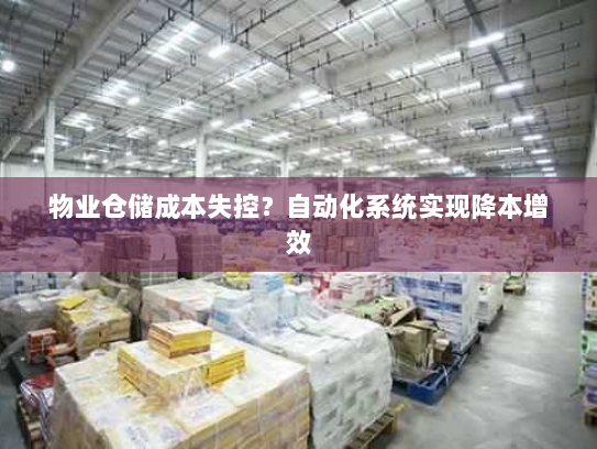 物业仓储成本失控？自动化系统实现降本增效