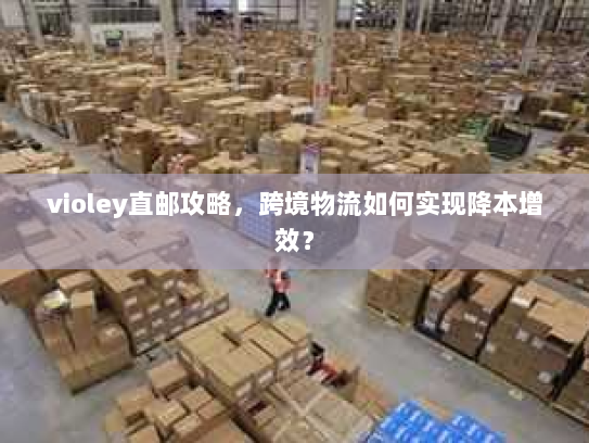 violey直邮攻略，跨境物流如何实现降本增效？