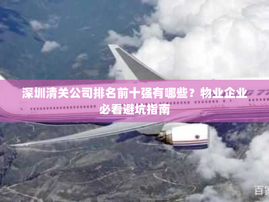 深圳清关公司排名前十强有哪些?物业企业必看避坑指南 深圳清关公司排名前十强有哪些?物业企业必看避坑指南