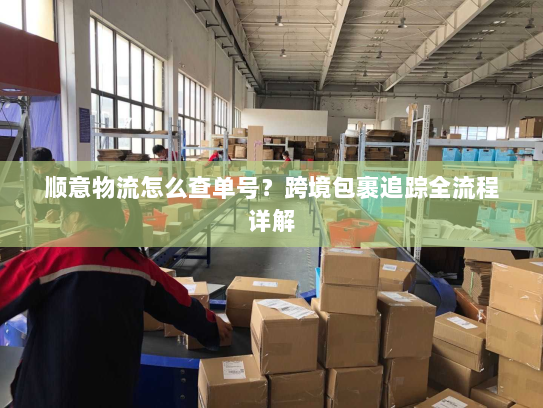 顺意物流怎么查单号？跨境包裹追踪全流程详解