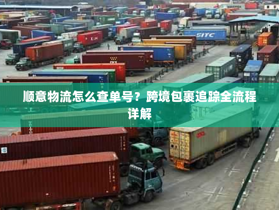 顺意物流怎么查单号？跨境包裹追踪全流程详解