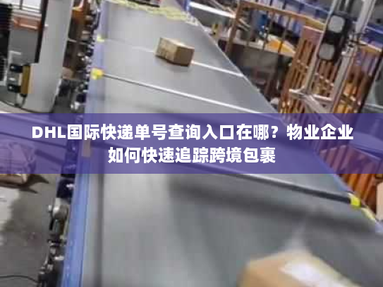 DHL国际快递单号查询入口在哪?物业企业如何快速追踪跨境包裹 DHL国际快递单号查询入口在哪?物业企业如何快速追踪跨境包裹