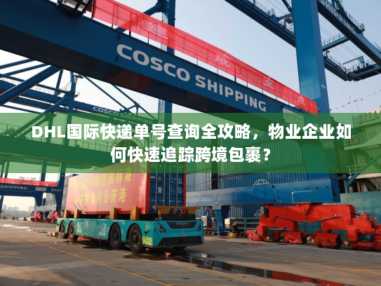 DHL国际快递单号查询全攻略，物业企业如何快速追踪跨境包裹？