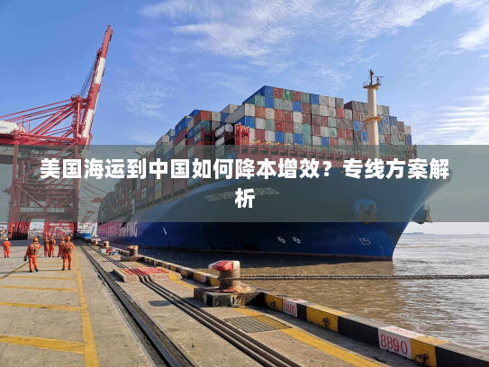 美国海运到中国如何降本增效？专线方案解析