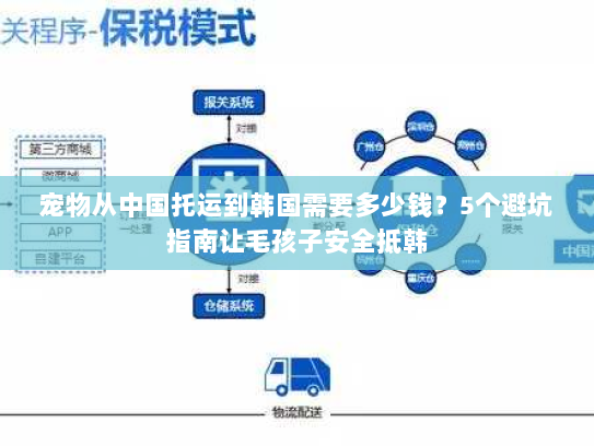 宠物从中国托运到韩国需要多少钱?5个避坑指南让毛孩子安全抵韩 宠物从中国托运到韩国需要多少钱?5个避坑指南让毛孩子安全抵韩