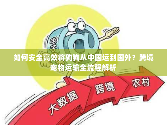 如何安全高效将狗狗从中国运到国外?跨境宠物运输全流程解析 如何安全高效将狗狗从中国运到国外?跨境宠物运输全流程解析