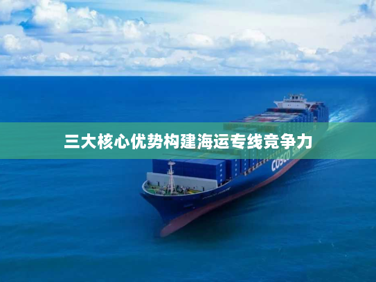 三大核心优势构建海运专线竞争力