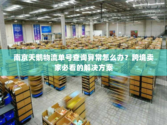 南京天鹅物流单号查询异常怎么办？跨境卖家必看的解决方案
