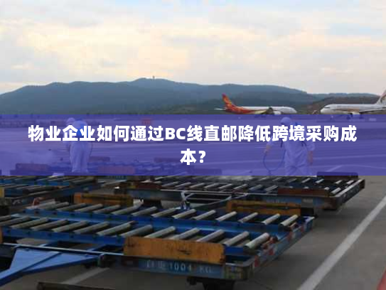 物业企业如何通过BC线直邮降低跨境采购成本? 物业企业如何通过BC线直邮降低跨境采购成本?