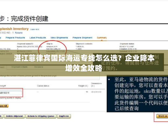 湛江菲律宾国际海运专线怎么选？企业降本增效全攻略