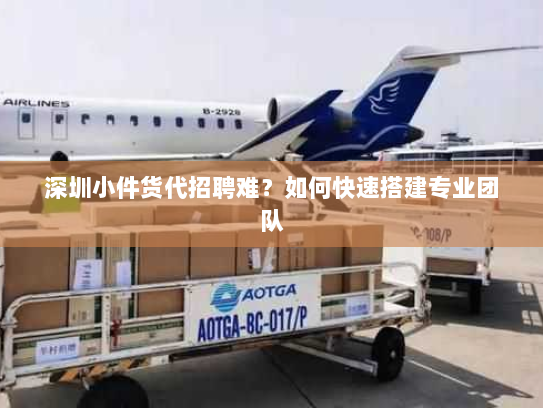 深圳小件货代招聘难？如何快速搭建专业团队