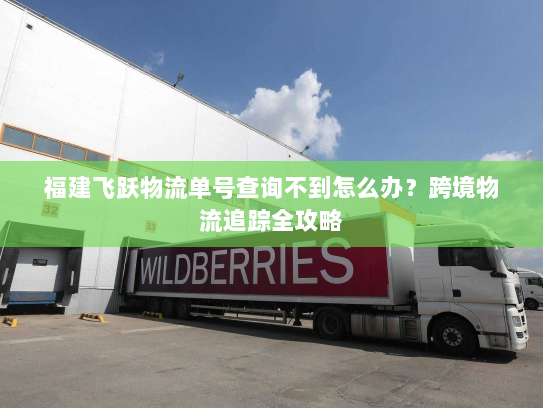 福建飞跃物流单号查询不到怎么办？跨境物流追踪全攻略