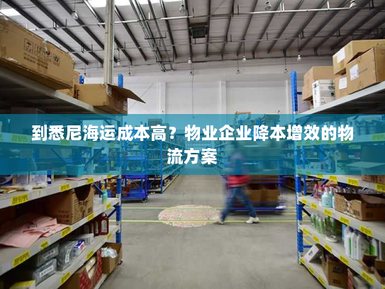 到悉尼海运成本高？物业企业降本增效的物流方案