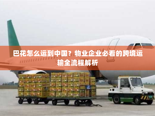 巴花怎么运到中国？物业企业必看的跨境运输全流程解析