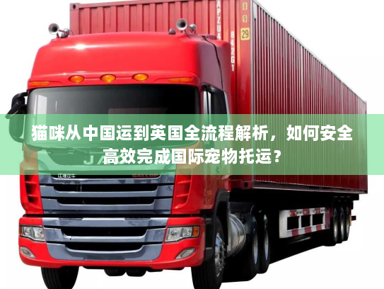 猫咪从中国运到英国全流程解析，如何安全高效完成国际宠物托运？