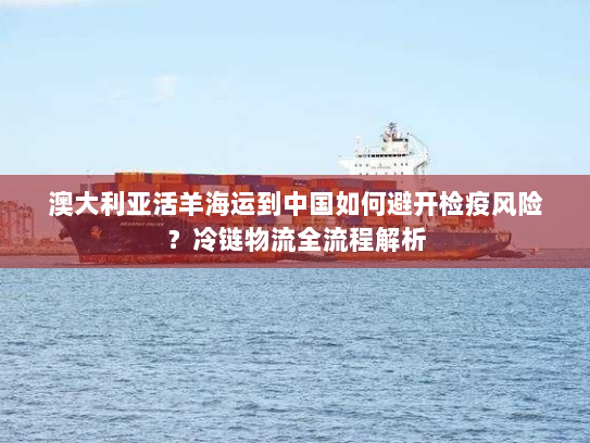澳大利亚活羊海运到中国如何避开检疫风险?冷链物流全流程解析 澳大利亚活羊海运到中国如何避开检疫风险?冷链物流全流程解析