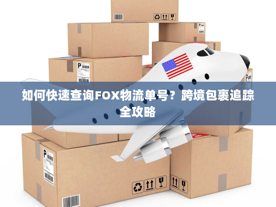 如何快速查询FOX物流单号？跨境包裹追踪全攻略