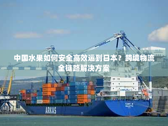中国水果如何安全高效运到日本？跨境物流全链路解决方案