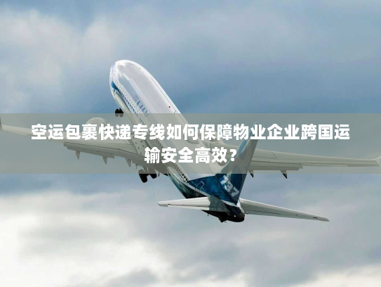 空运包裹快递专线如何保障物业企业跨国运输安全高效？