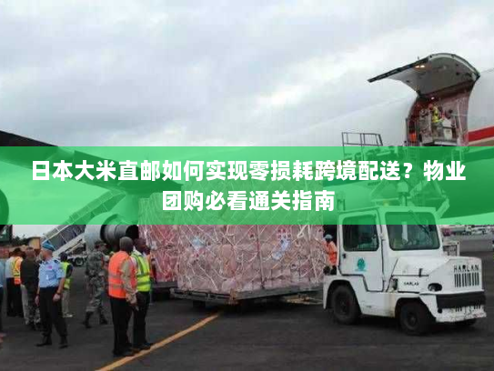 日本大米直邮如何实现零损耗跨境配送？物业团购必看通关指南