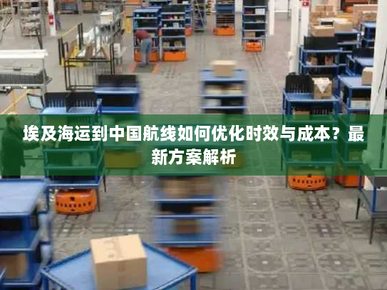 埃及海运到中国航线如何优化时效与成本？最新方案解析