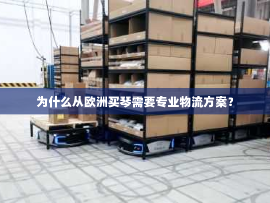 为什么从欧洲买琴需要专业物流方案? 为什么从欧洲买琴需要专业物流方案?