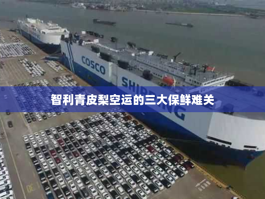 智利青皮梨空运的三大保鲜难关 智利青皮梨空运的三大保鲜难关