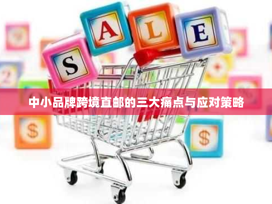 中小品牌跨境直邮的三大痛点与应对策略 中小品牌跨境直邮的三大痛点与应对策略