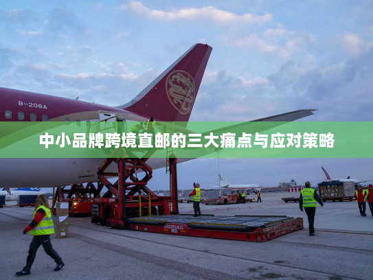 中小品牌跨境直邮的三大痛点与应对策略 中小品牌跨境直邮的三大痛点与应对策略