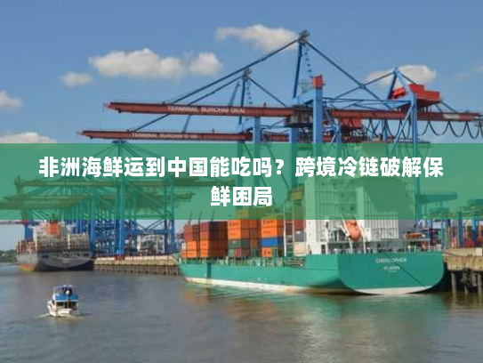 非洲海鲜运到中国能吃吗？跨境冷链破解保鲜困局