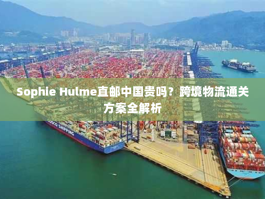 Sophie Hulme直邮中国贵吗?跨境物流通关方案全解析 Sophie Hulme直邮中国贵吗?跨境物流通关方案全解析